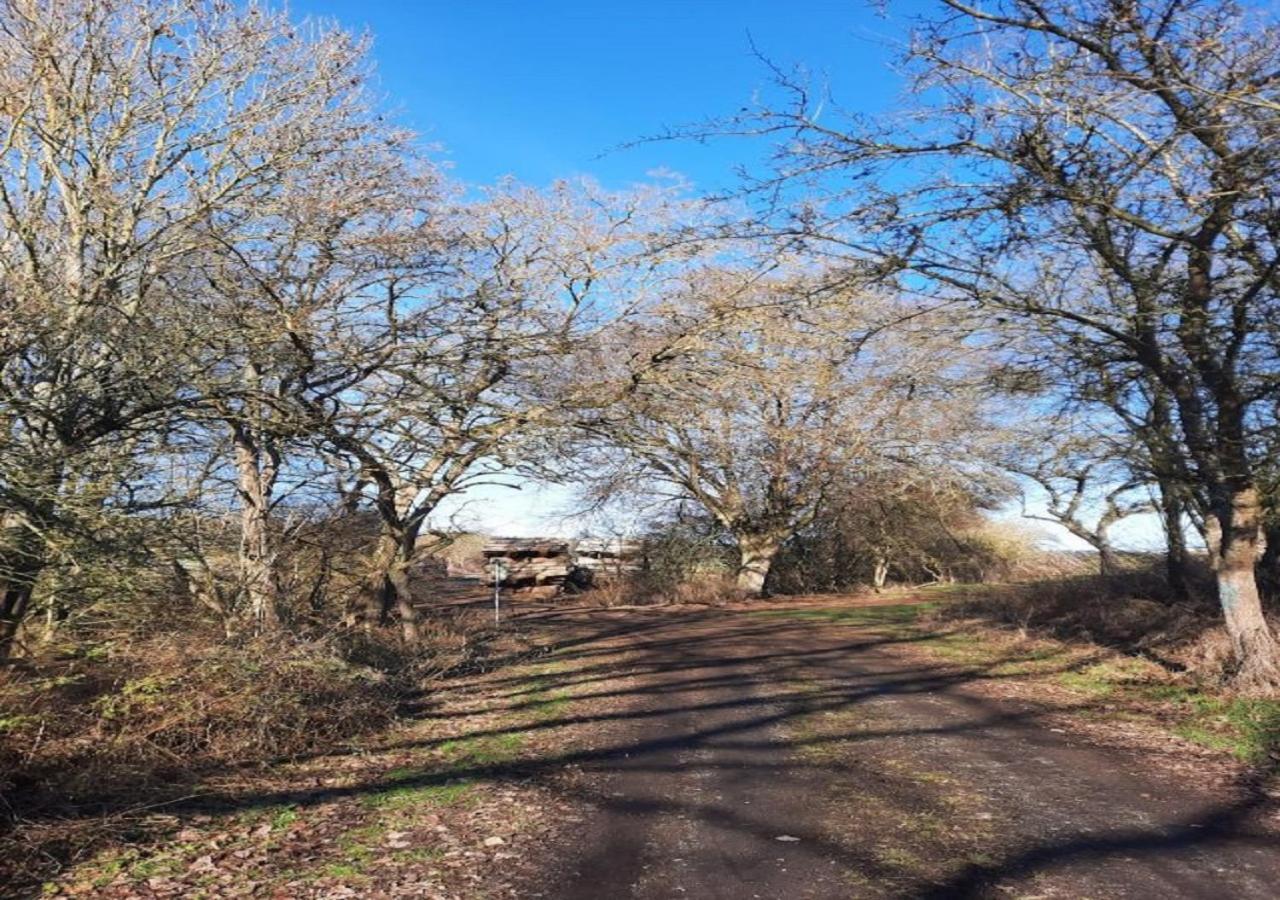 Exklusive Naturoase Direkt Am Ars Natura Wanderweg Mit Panoramablick Auf Melsungen Apartment Екстериор снимка